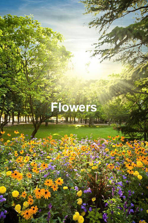 flowers photographic backdrop - Maret Pro Lab